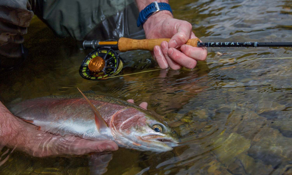 Fishing The Ross Animas On The Animas River