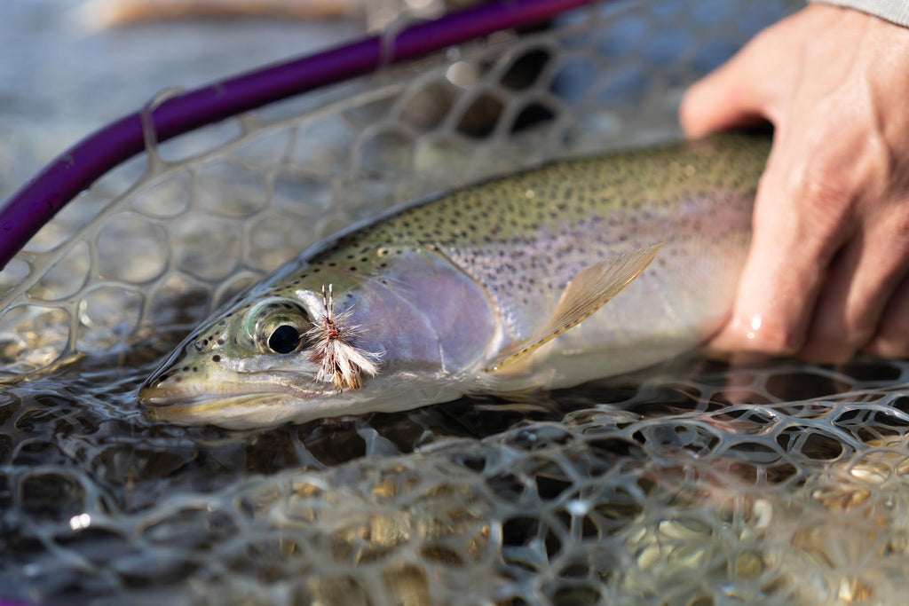Stimulator Dry Fly | Manic Fly Collection
