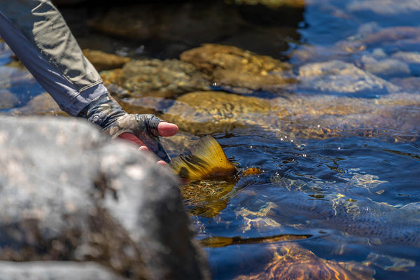 fly fishing beginners set up