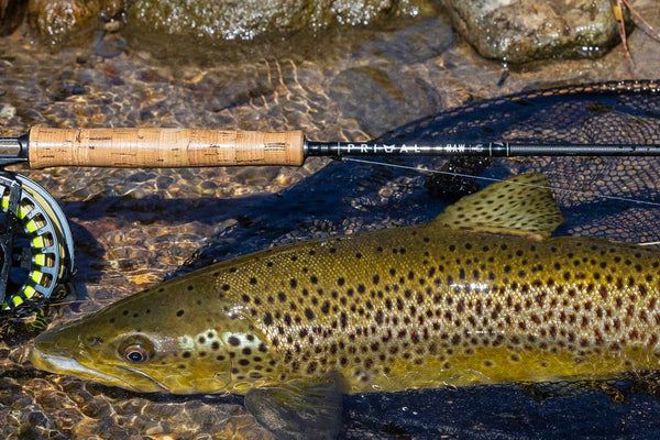 Primal Fly Fishing Rod CCC