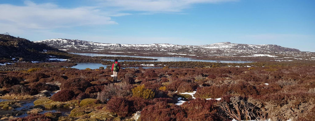 High Country Lagoon Fishing Tasmania