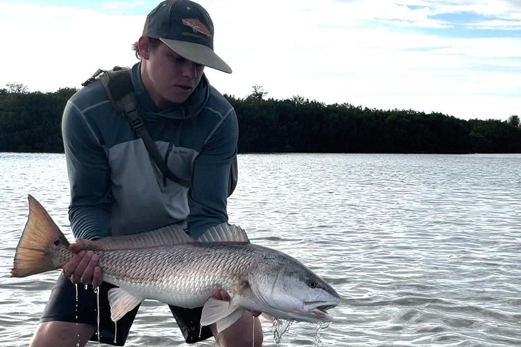 Redfish success with the new Airflo Flats Universal saltwater fly line