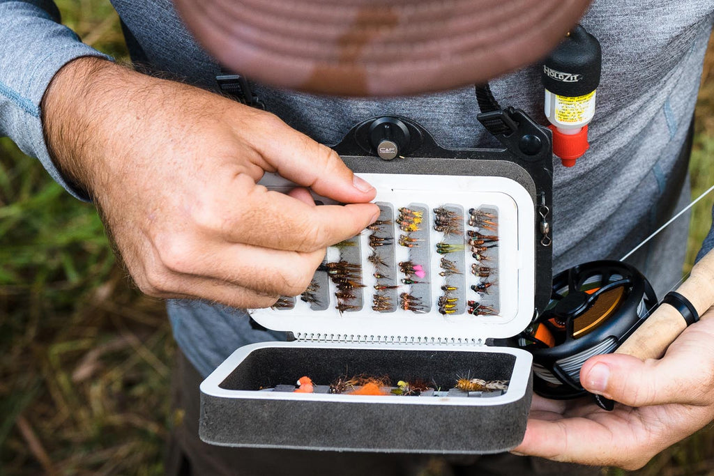 Choosing trout flies for fly fishing