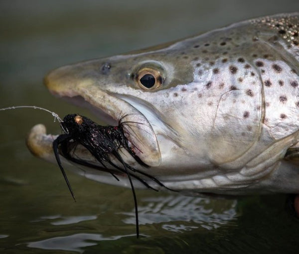 Various Hook Sets for Trout - Dry Fly, Nymph & Streamer 