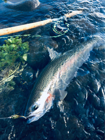Two hander fly rod fly fishing