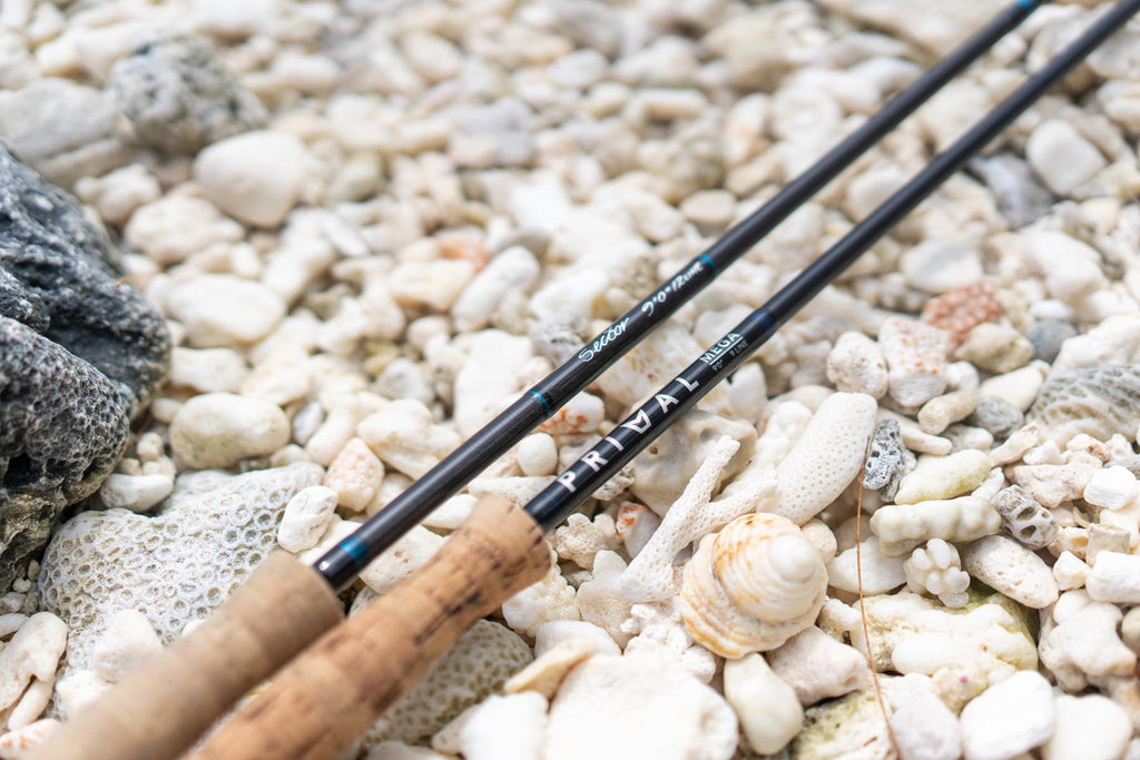 Primal Mega & Scott Sector Fly Rods