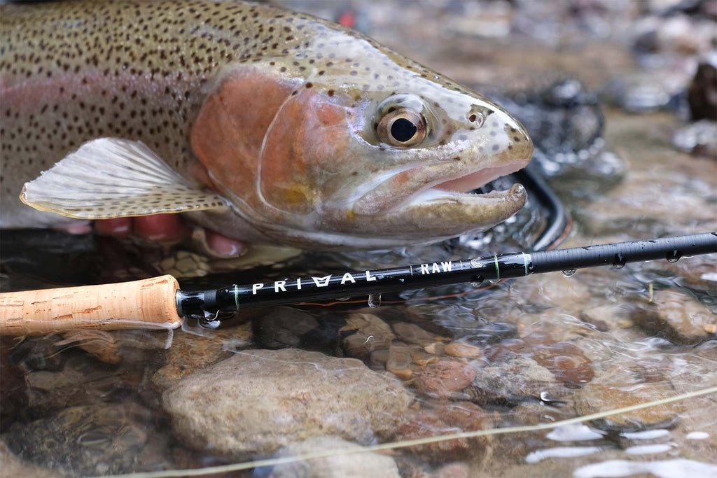 In the Loop Fly Fishing Magazine - Issue 37 by In the Loop Fly