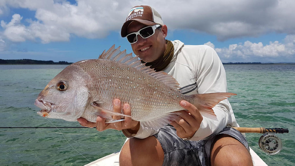 Northland Snapper on Crab Fly