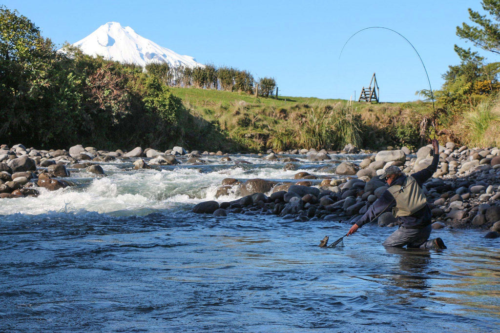 Angler Nets A Taranaki Brown Trout