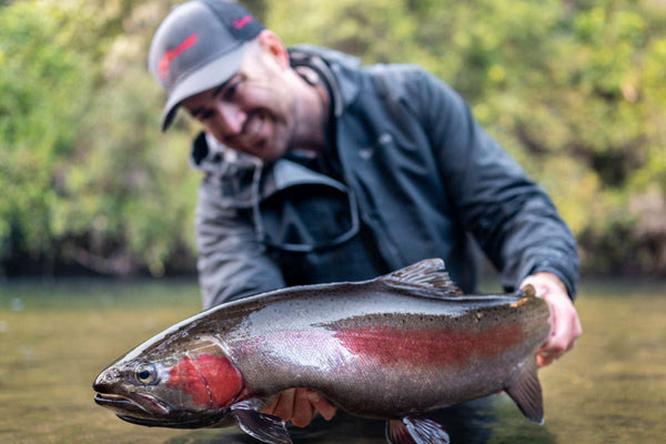 Turangi Fly Fishing Report