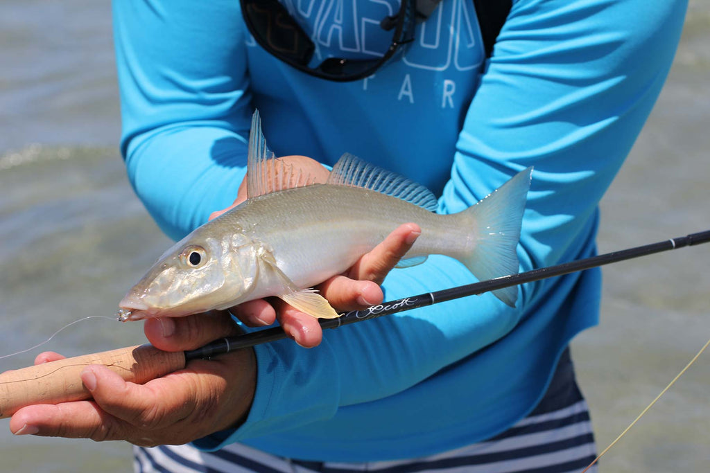 Whiting On Fly