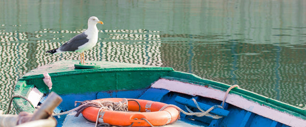 Seagull sitting on the bow of a boat that is floating in water