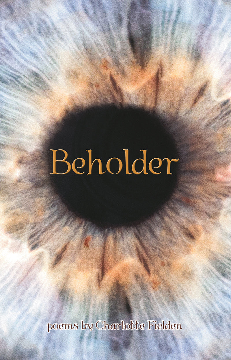 beholder meaning