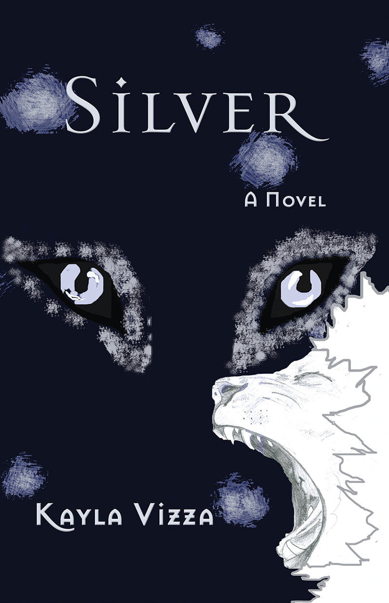 silver fin book