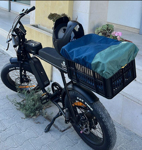 50 Rebels Sea Shepherd bike