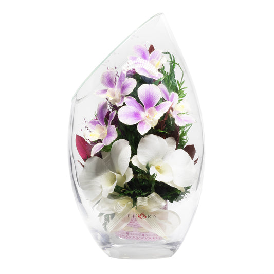 71850 Long-Lasting Purple Orchids in a Droplet Glass Vase – FIORA FLOWER