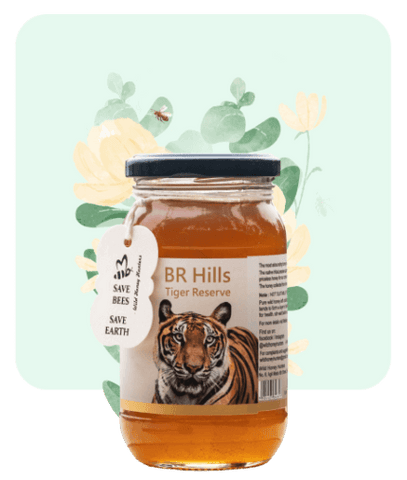 BR Hills Tiger Reserve Honey - 100% Raw Organic Wild Honey