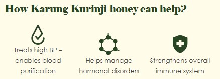Black Kurunji - Bio Region Wild Honey