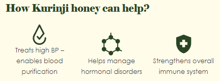 Benefits of Kurunji Honey