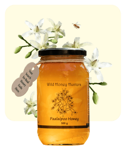Black Board Tree Honey - 100% Raw Organic Wild Honey