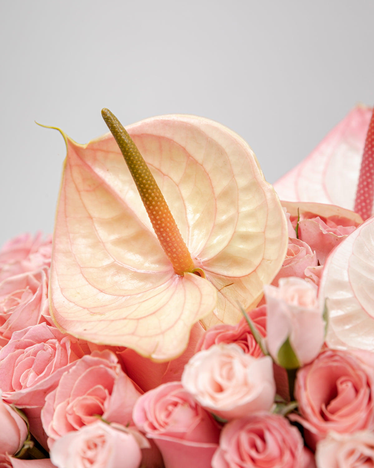 Abanico Rosas y Anturios Durazno – Ikebana Flores