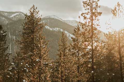 Rustic Montana Mountain Wedding