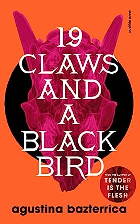 19 Claws and a Black Bird book cover