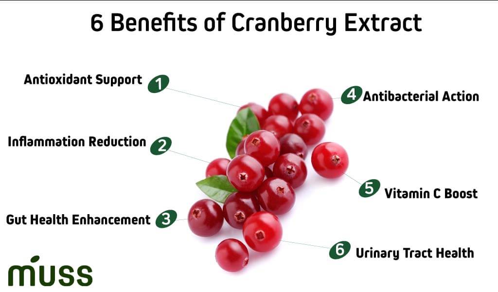 6 Benefits of Cranberry Extract