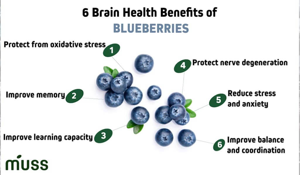 blueberry benefits for brain