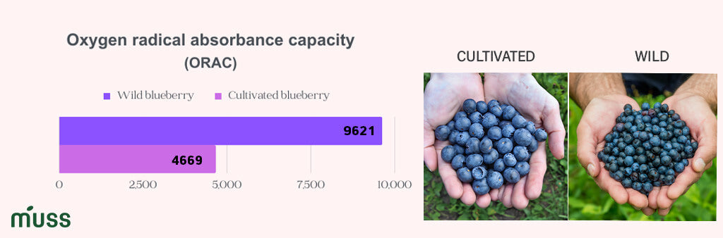 amount of antioxidants in blueberries