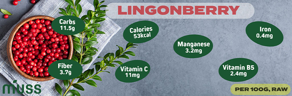 nutritional value of lingonberries