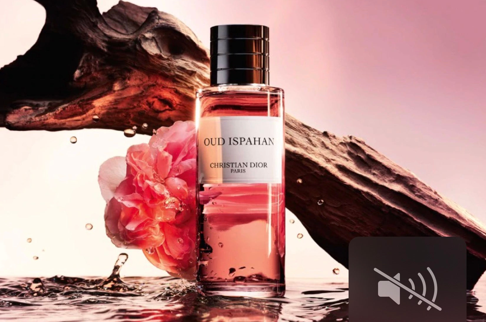 oud ispahan uomo