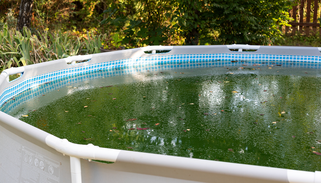 Find the best Kokido Pool Cleaner Solution to avoid dirty Pool experience