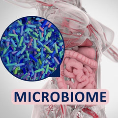 microbiome and gut health, LUSTRE ClearSkin blog