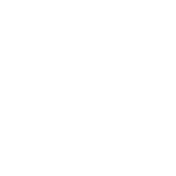 SM_logo_FIT