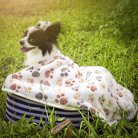 Dog Wearing Soft and Warm Paw Blanket - Pets Love Surprises