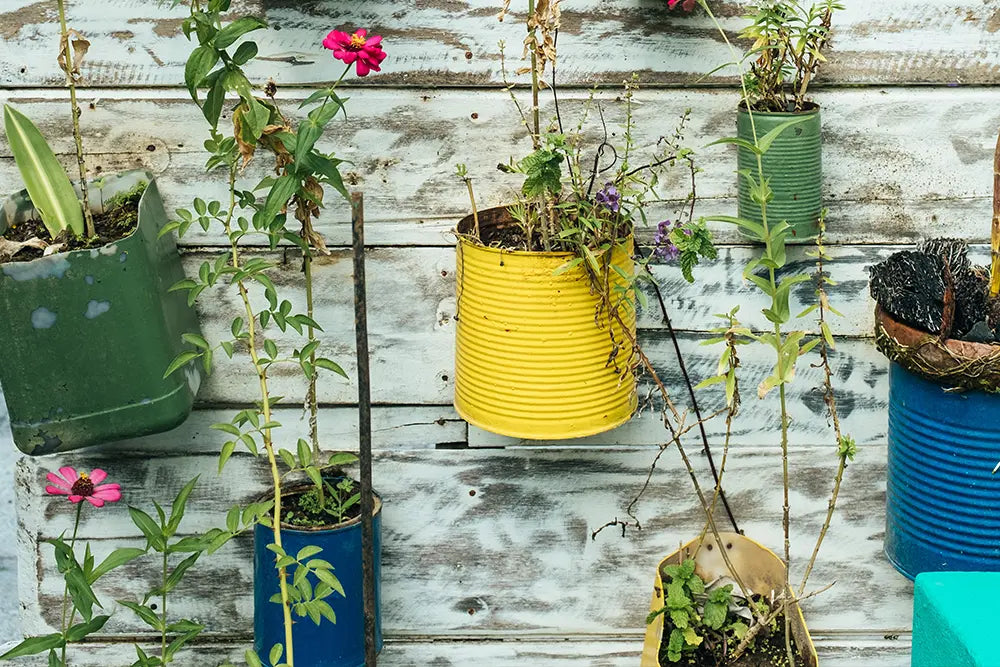 plantes sur un mur dans pots en metal upcycling et beauté