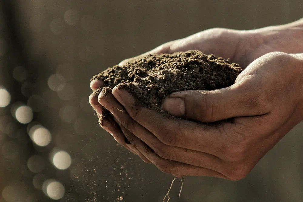 mains qui tiennent de la terre ingrédients locaux bio marque cosmétiques bio française