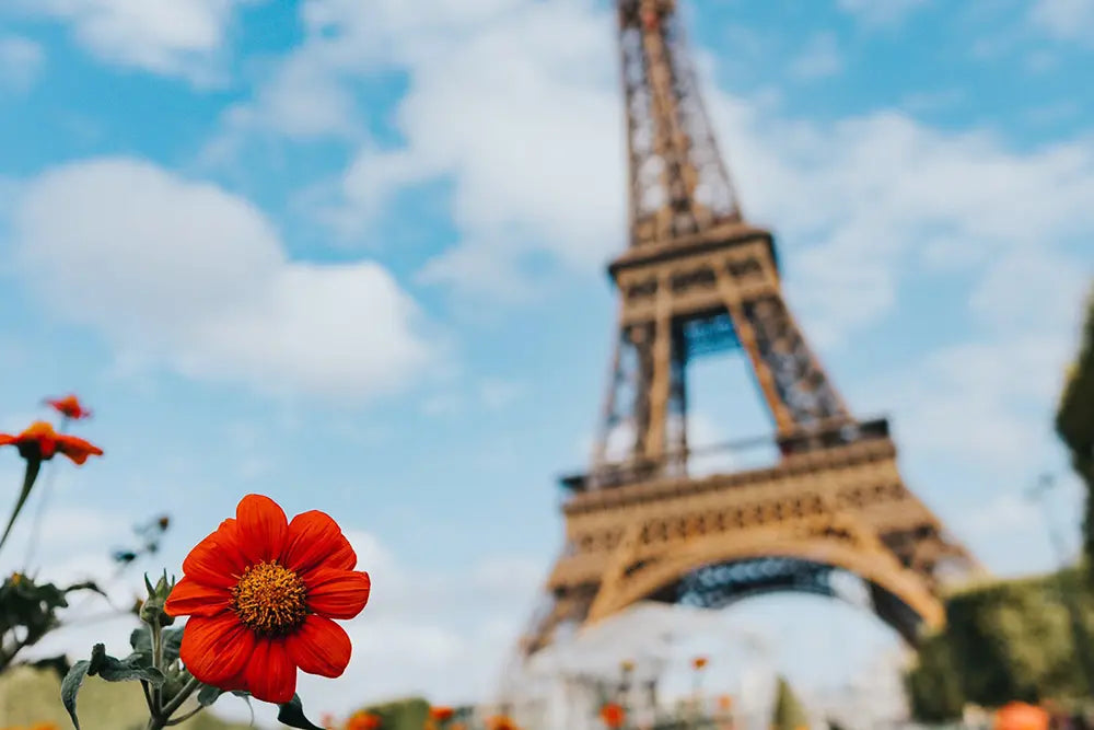 champ de fleurs rouges marque cosmétique bio française ingrédients locaux