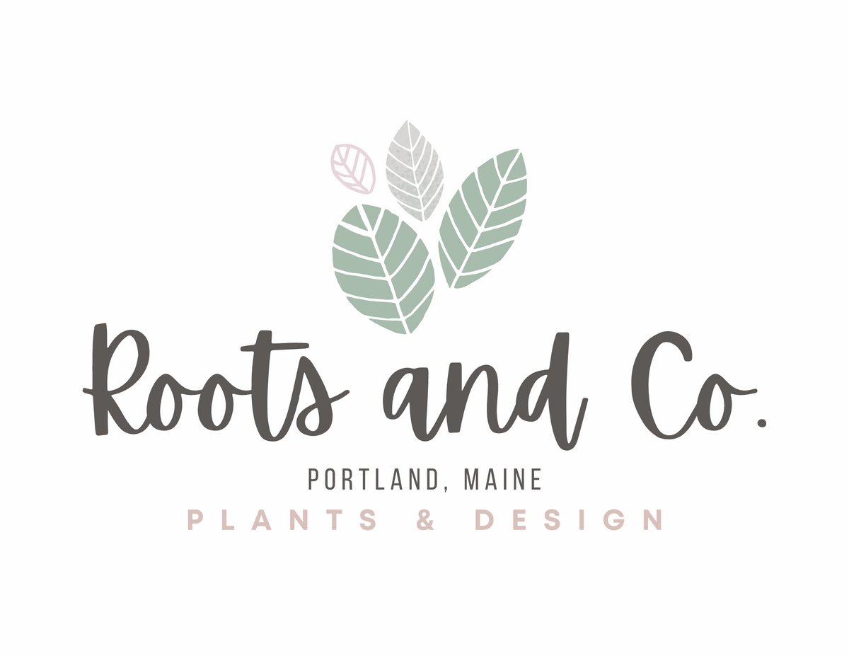 Roots and Co.