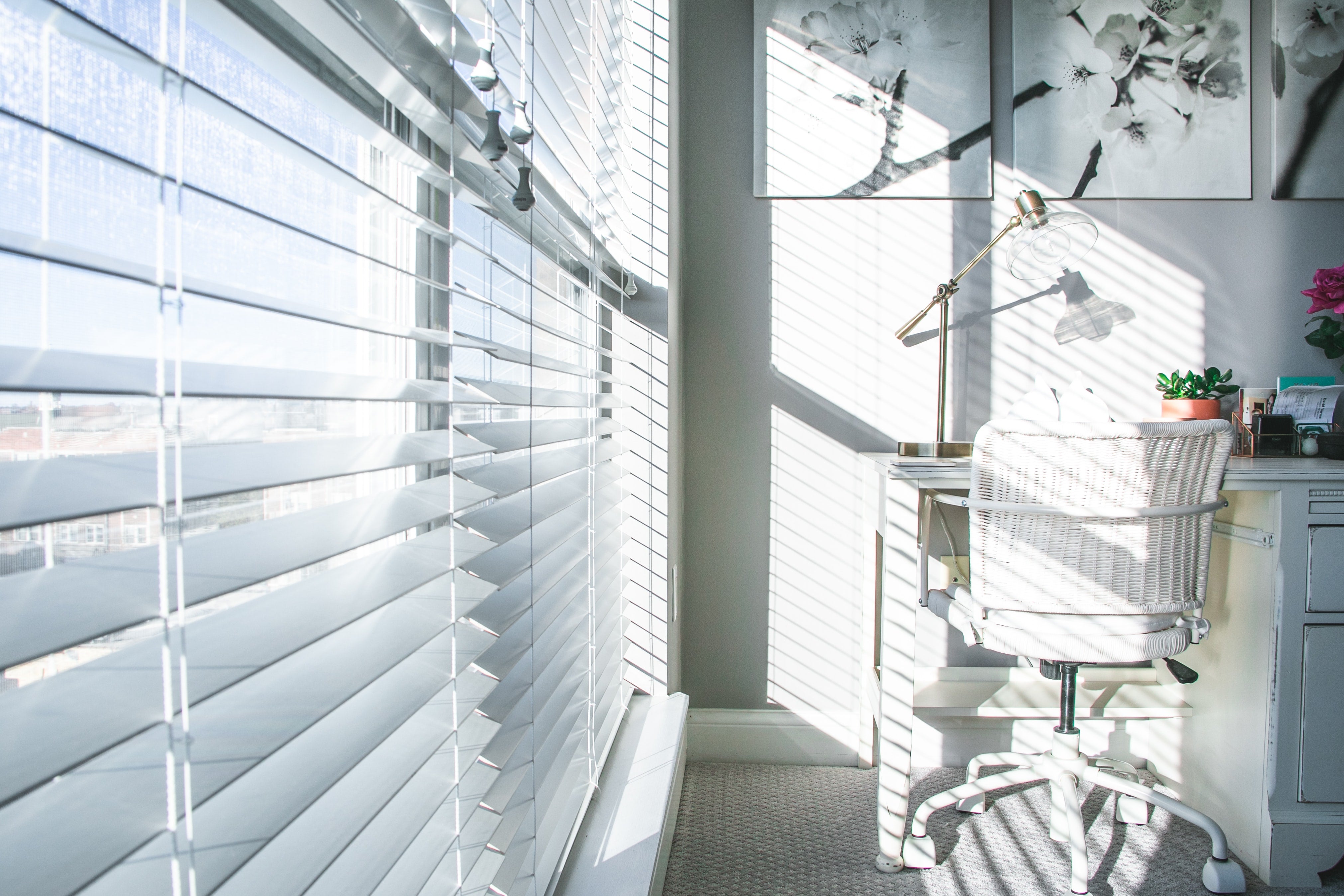 Window Blinds: Custom Window Treatments Made for Your Windows – Factory  Direct Blinds