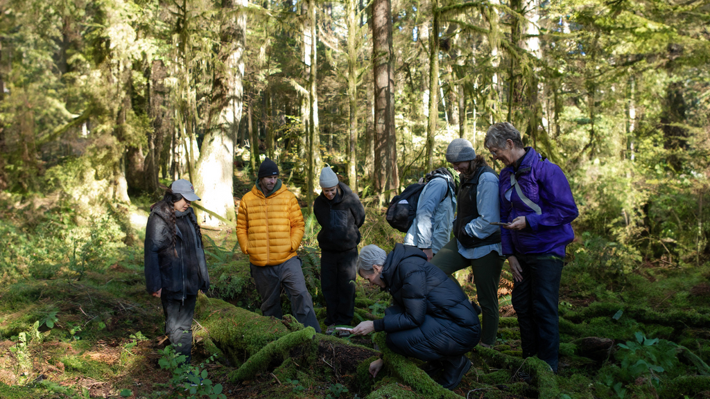 Family Day Fun: Mushroom Foraging in British Columbia