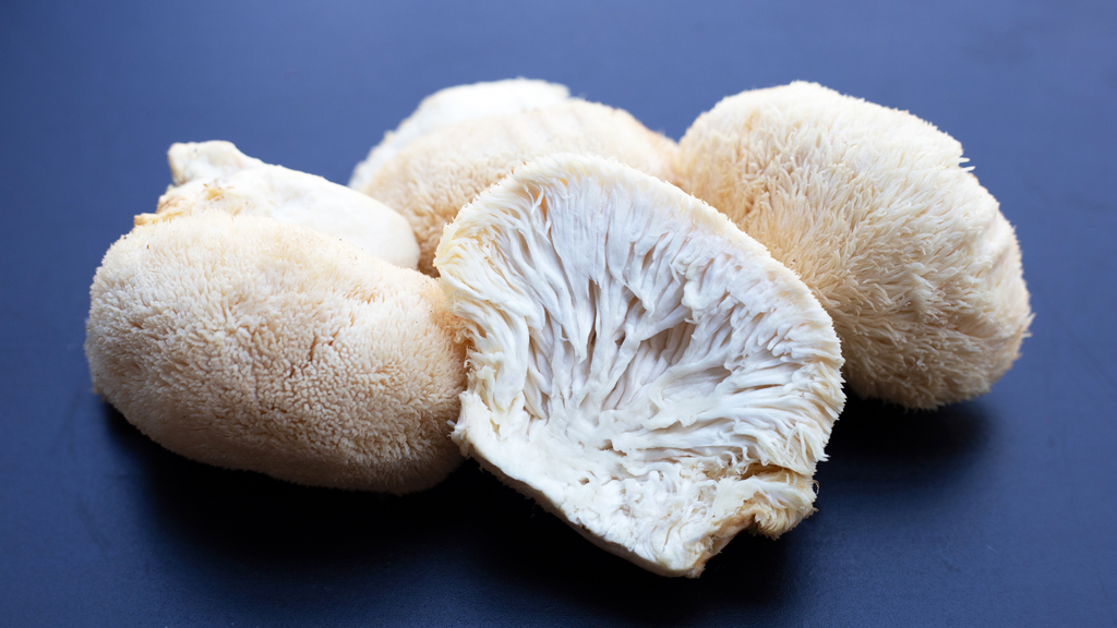 lion's mane mushroom