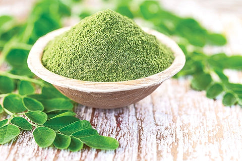 Moringa Oil, Moringa powder all you need to know