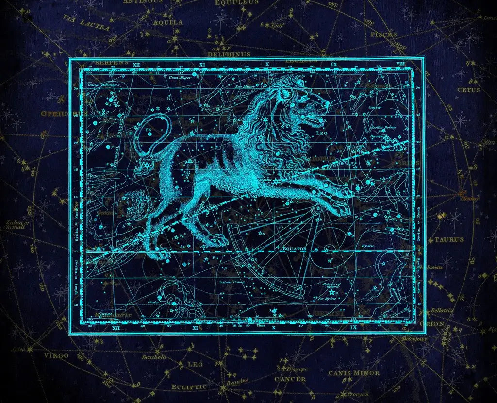 North Node in Leo Meaning