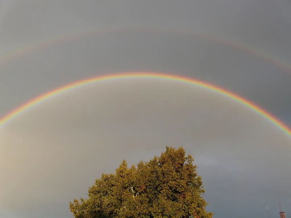 What Does a Double Rainbow Mean