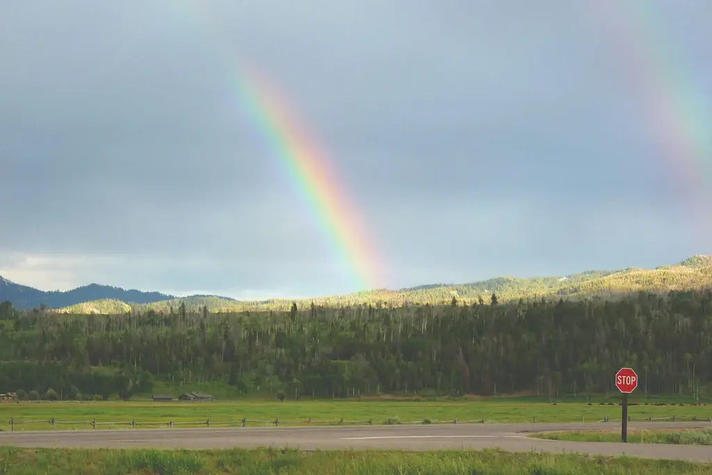 What Is Your Meaning of the Double Rainbow