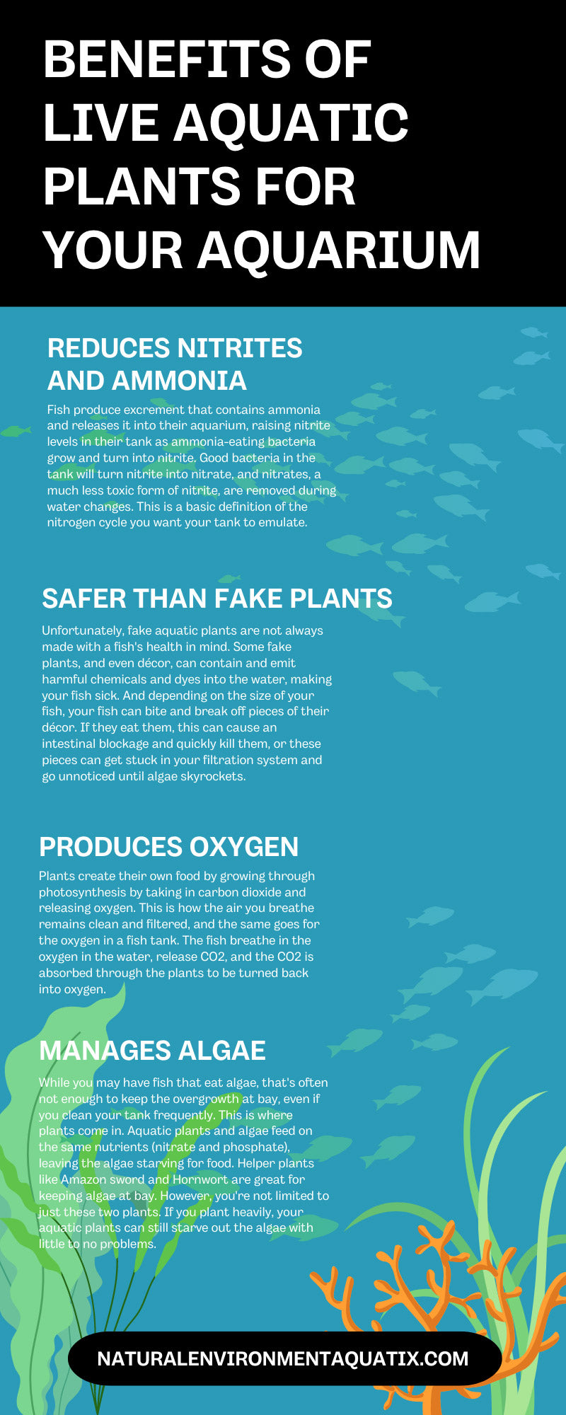7 Benefits of Live Aquatic Plants for Your Aquarium