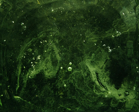 Green Algae