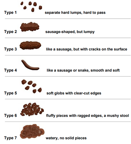 Bristol Stool Chart People's Herbs Sui Bian Guo share fruit fermented green plum detox constipation weight loss